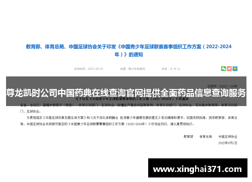 尊龙凯时公司中国药典在线查询官网提供全面药品信息查询服务